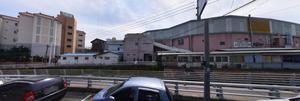 [_] 󳲵 40-1 Ͽ ,  1  ° ð 弳ȸ 