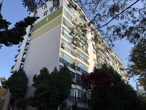 [_] ǵȭ ұԸ, ̴ ռΰ ó