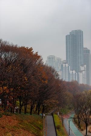 [��������_�ε���] �����, ��ⷯ ���� Ư���� ���� ���� ����