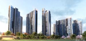 [��������_�����] �渲���ϱ��� �����, ���� ��ü ������ ��ä��