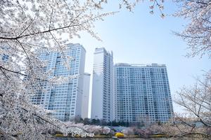 [��������_�ε���] ������, ��ã�ư��� �簳�ߤ������ �������͡� �