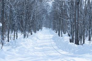 [��������_����] �����, �ѱ����ΰ��� �������� ���� ���ˡ� ���ܿ�ö ���ӵ��� ���� ��ȭ��