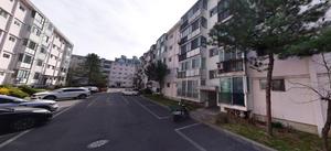 [��������_�����] ����1�ְ� �����, ���� ��ü ���� ���� �����ס�