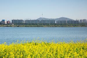 [��������_������] ��6�� ���� �ӵ����� 1��29 ���� ���� ��å�� ����롯�� �������� ����