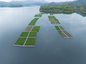 [��������_�ε���] ���, ��õ�� �������ѱ��� 52�� ���� ���� ����