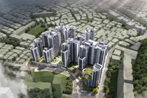 [��������_�����] ���5���� �����, ���� 20�� �������� 524���� �Ը� �Ǹ���