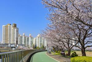 [��������_�ε���] �����Ѱ�2����Ʈ��Ƽ, ���� �Ϲݱ� ���� ���� ����ȭ