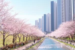 [��������_�ε���] �����-��������, ���� �Ǽ������ ����ȸ�� �ߵ����� ��Ȳ ��ó