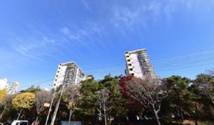 [��������_�����] ���ð��� ������ �յ� ����1���� �����, �ϼ��� �ٽ� �ְ����� Ż�ٲ� ����!