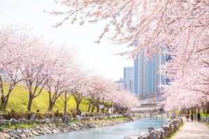 [��������_�ε���] �ѱ��ε����, ����������� ���̵�� ������ ������ 184�� ����