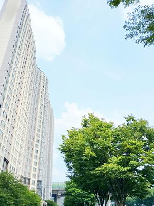 [��������_�ε���] ������, �д� ����� Ư�����񱸿� 6��6037���� ���� ����